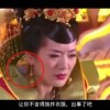 图库下载安装免费相片和视频教程大全